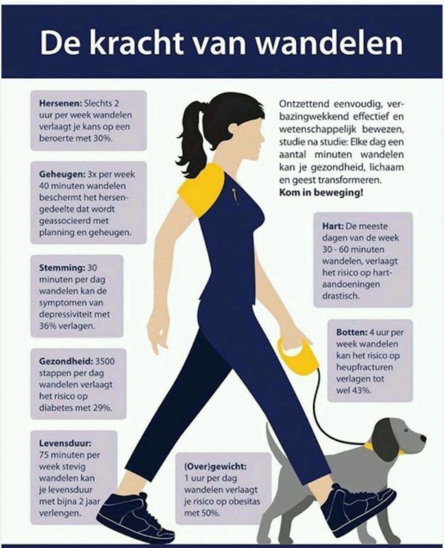 fysio deventer -5942824927990233697 121