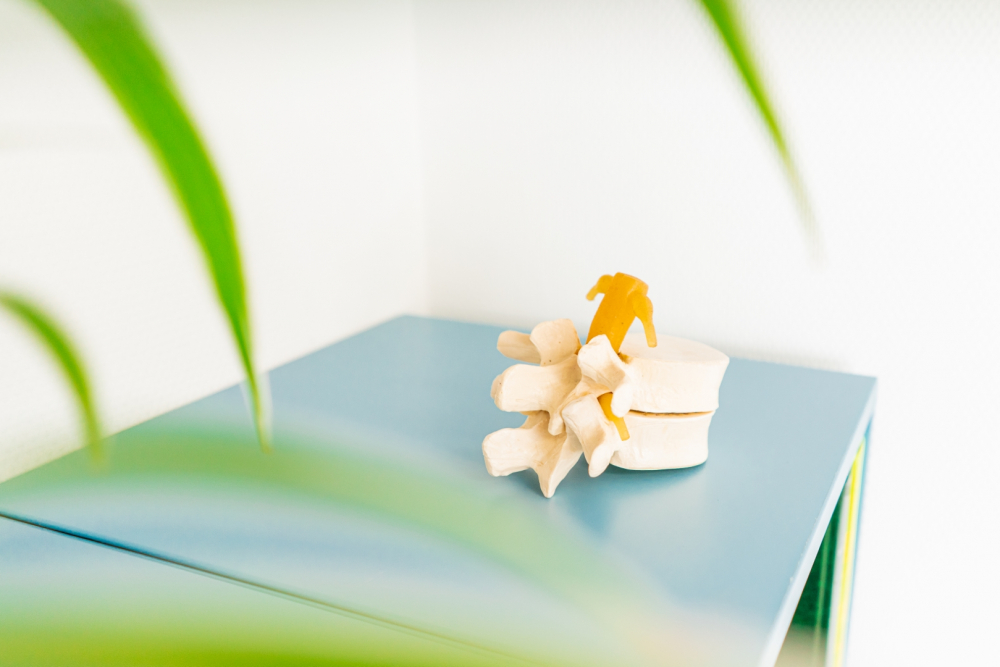 fysio deventer Axis-12 Groot